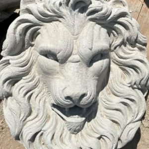Lion head options