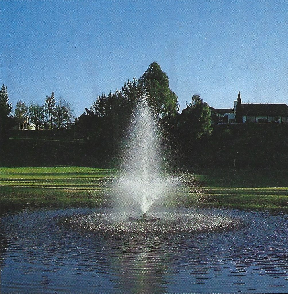 Trumpet Geyser Small